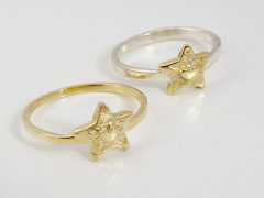 sg524-gedenken-ring-ster-hartje-goud-bicolor-zilver-love-ringen-design-liefde-edelsmeden-handgemaakt-edelsmid-www.tonvandenhout.nl-goudsmid-juwelier-herinnering-aandenken-uniek