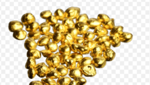 ton van den hout puur goud