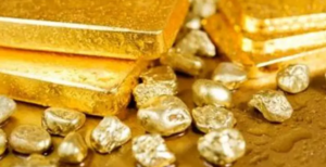 ton van den hout puur goud